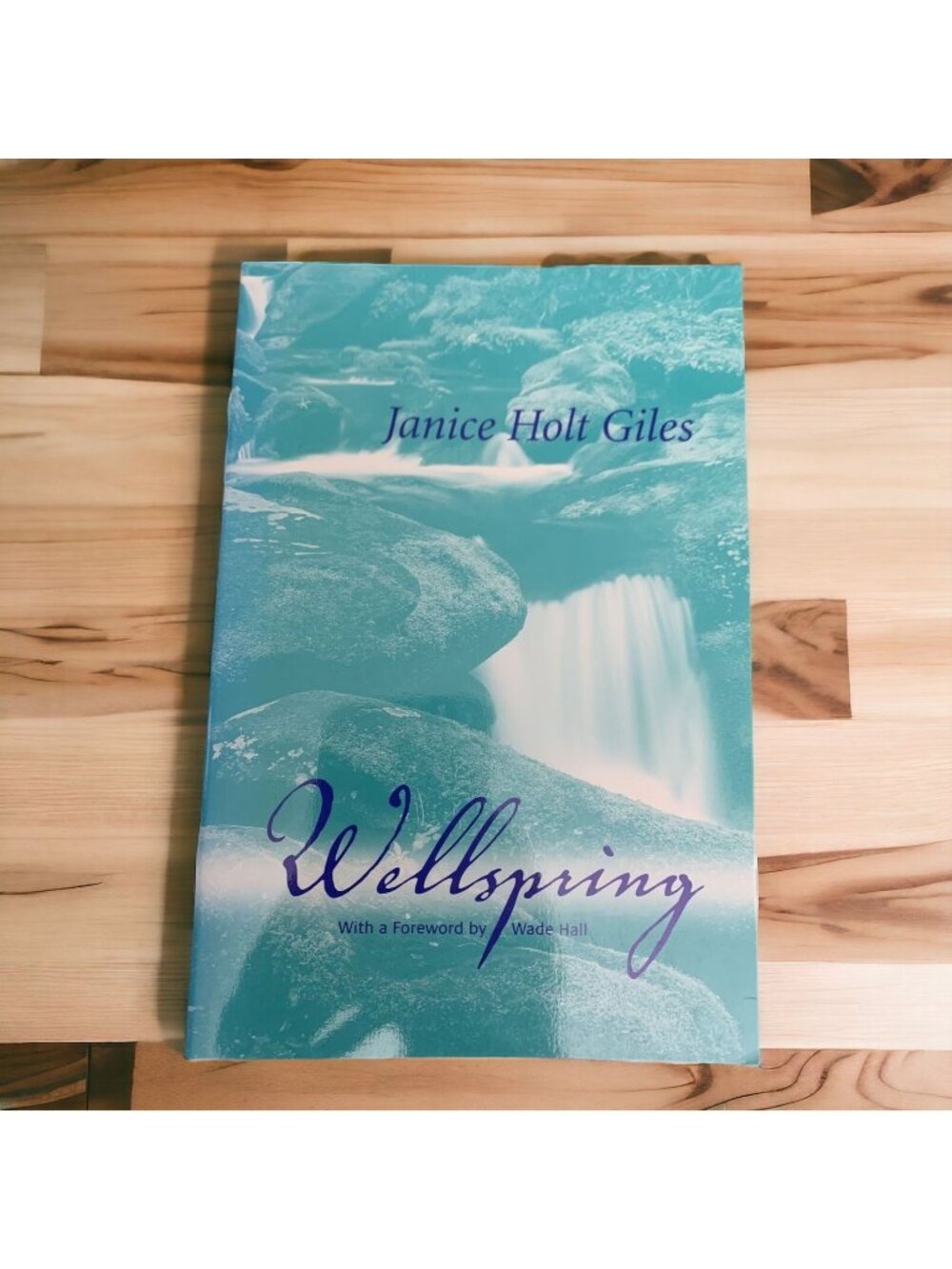 Wellspring by Janice Holt Giles 2002 University Press Kentucky Softcover Memoir